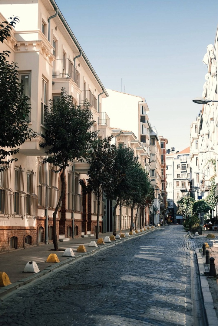 Ağaçlı bir İstanbul sokağı